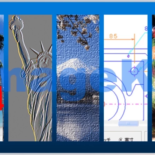 Newtone ImageKit v10.0 ActiveX