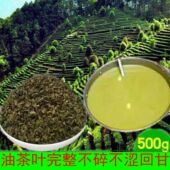 正宗恭城油茶专用茶叶2025谷雨茶 三江专打油茶配料批发白露茶 包邮