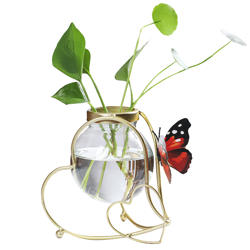 铁艺花架简约透明玻璃水培绿萝花插创意客厅桌面摆件装饰花瓶花器