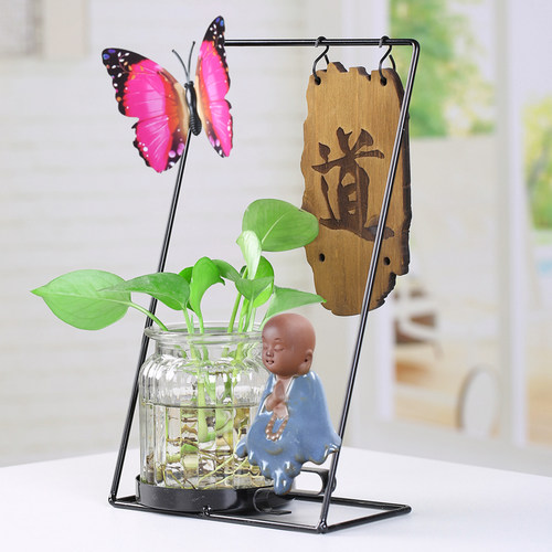 水培植物透明玻璃铁艺花瓶家居室内好养绿植水养绿萝花盆装饰摆件