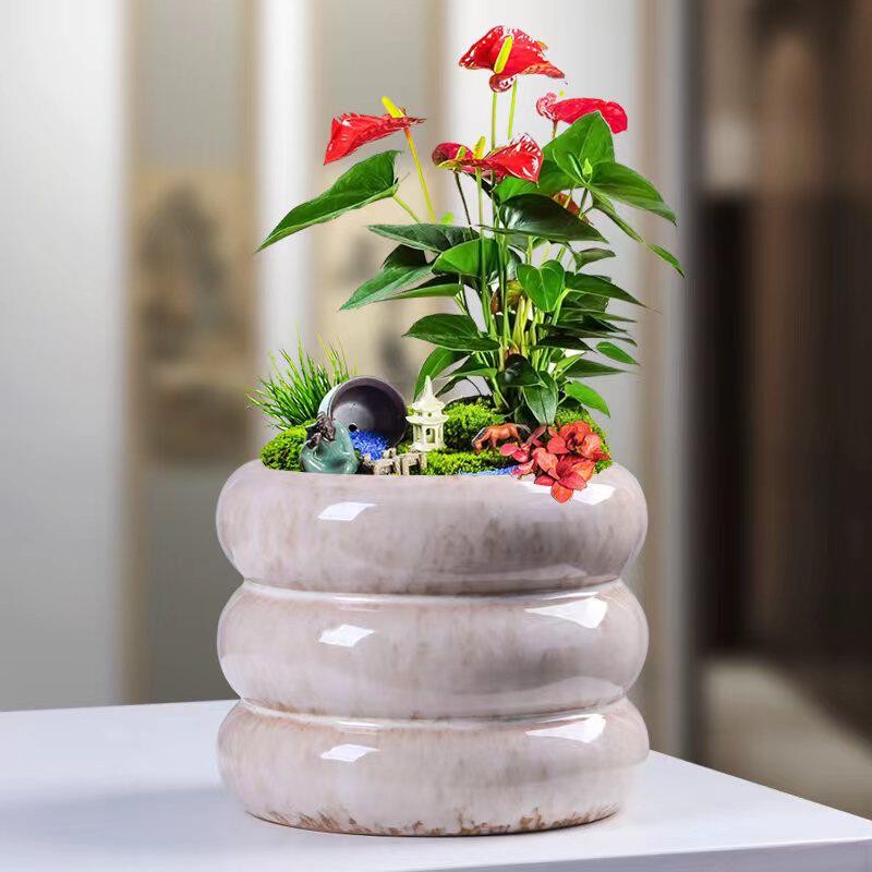 北欧风陶瓷花盆简约创意圆形螺纹绿萝蝴蝶兰多肉植物盆栽家用客厅