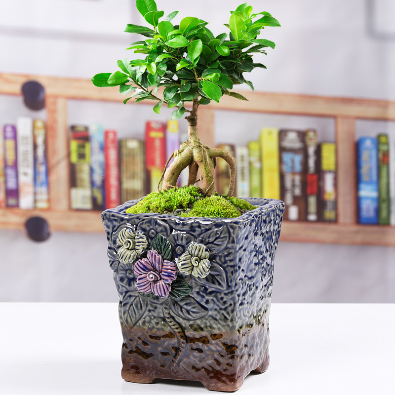 多肉陶瓷粗陶花盆特价窑变兰花文竹绿植家用创意个性捏花工艺清仓,鲜花速递/花卉仿真/绿植园艺,花盆,淘宝优惠券,粉丝福利购,淘宝优惠卷