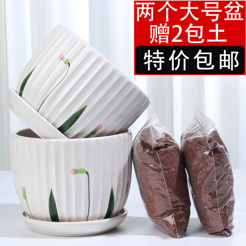 陶瓷简约特价清仓带两包土
