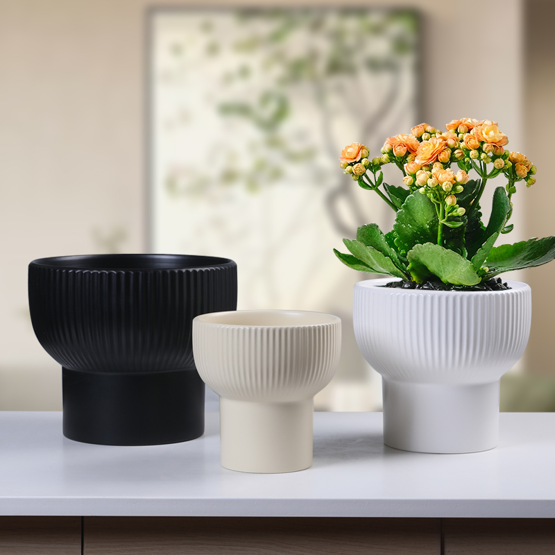 陶瓷花盆新款亚光蝴蝶兰绿植盆