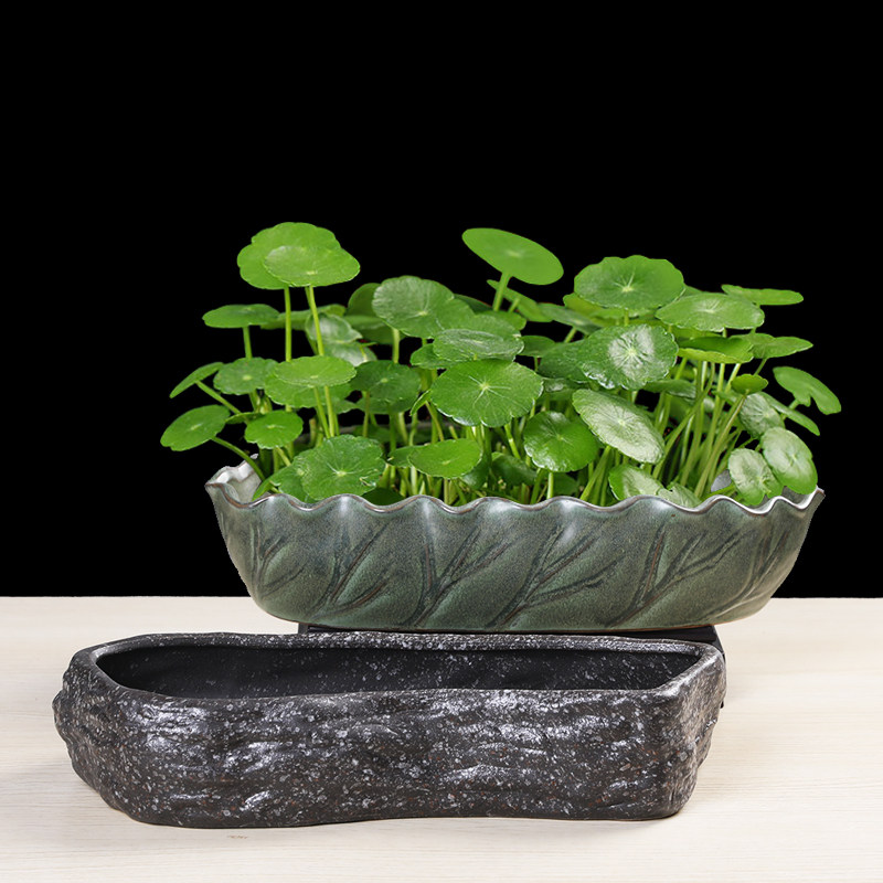 铜钱草花盆水仙花睡莲碗莲无孔家用陶瓷仿石特价水养水培大号清仓