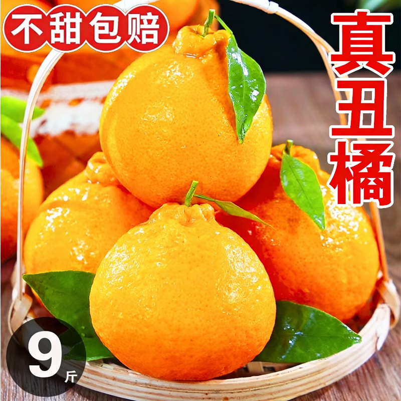 四川丑橘新鲜脆甜现摘丑八怪丑柑