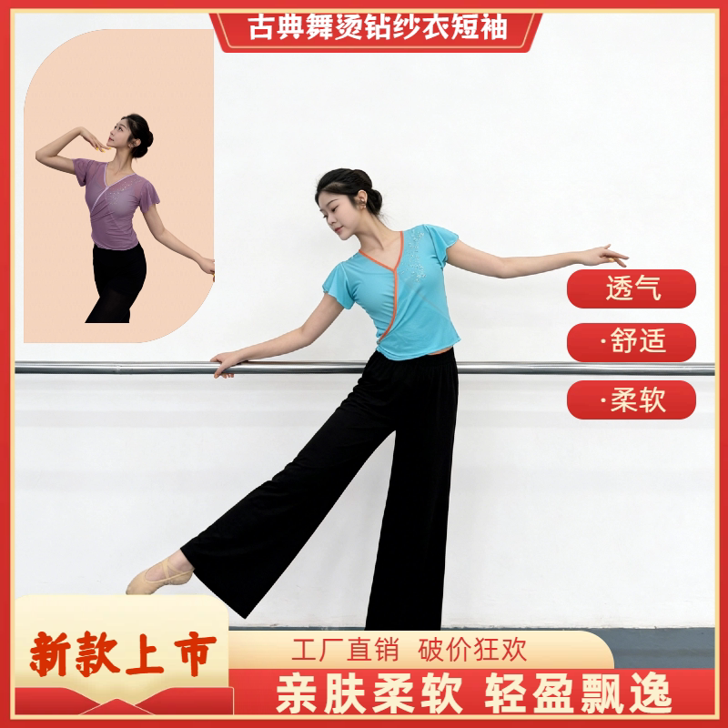 北舞上戏同款专业古典舞纱衣练功服舞蹈服身韵纱衣基训团服短袖新