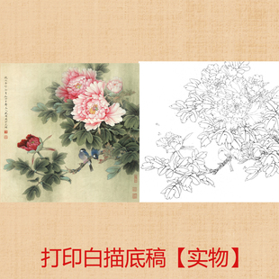 国画工笔画打印白描底稿李晓明斗方花鸟初学者临摹练习勾线过稿
