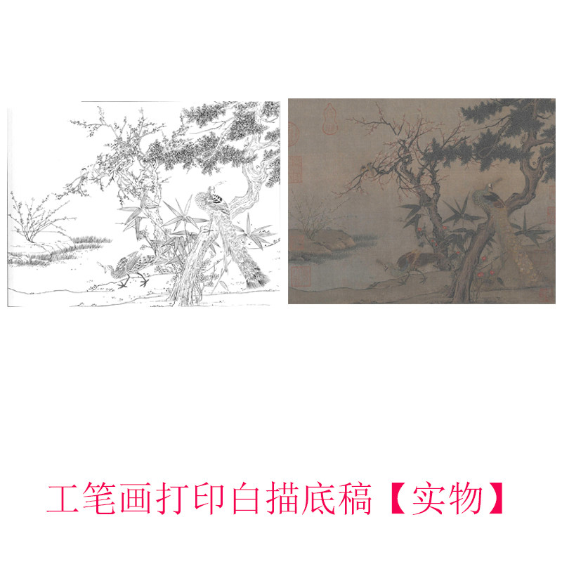 工笔画打印白描底稿宋  《红梅孔雀图》临摹初学者线描过稿素材