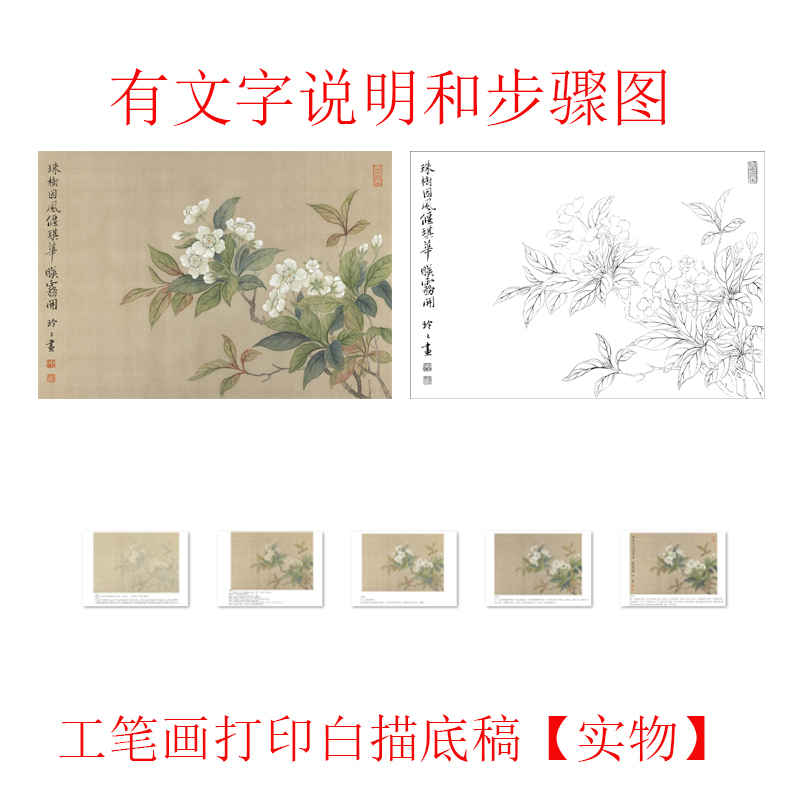 【有步骤】国画工笔画打印白描底稿恽寿平没骨花鸟图案初学者临摹 家居饰品 国画 原图主图