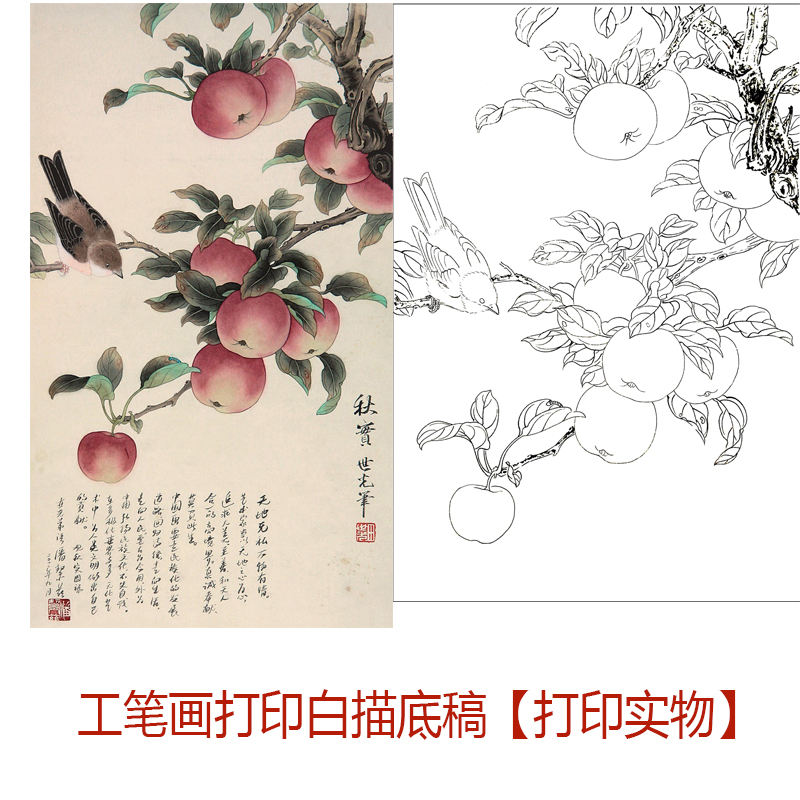 国画工笔画打印白描底稿竖幅瓜果苹果图案初学者临摹过稿上色练习
