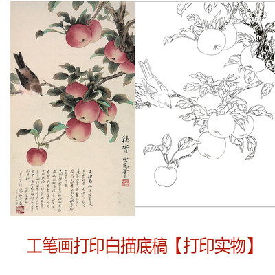 苹果图案初学者临摹上色练习国画