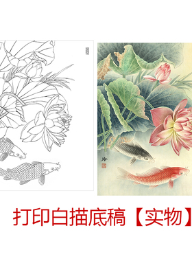 工笔画打印白描底稿郑玲玲牡丹鱼荷花鱼有步骤图初学者临摹勾线