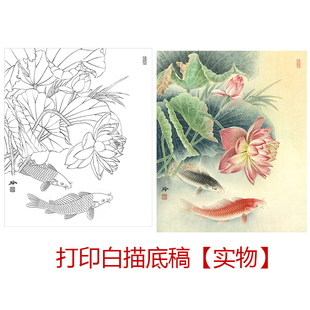 工笔画打印白描底稿郑玲玲牡丹鱼荷花鱼有步骤图初学者临摹勾线