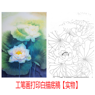 【有步骤】工笔画打印白描底稿姚霁月竖幅小品荷花《鸾姿凤态》