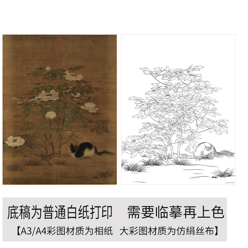 工笔画打印白描底稿狸猫富贵