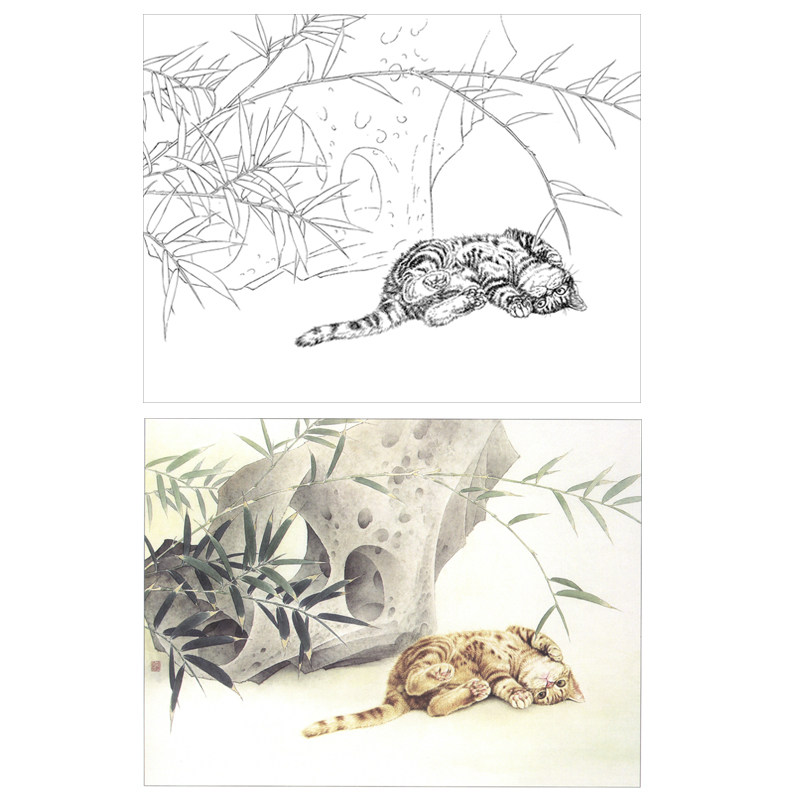 国画工笔画打印白描底稿横幅动物小猫初学者临摹勾线过稿上色练习