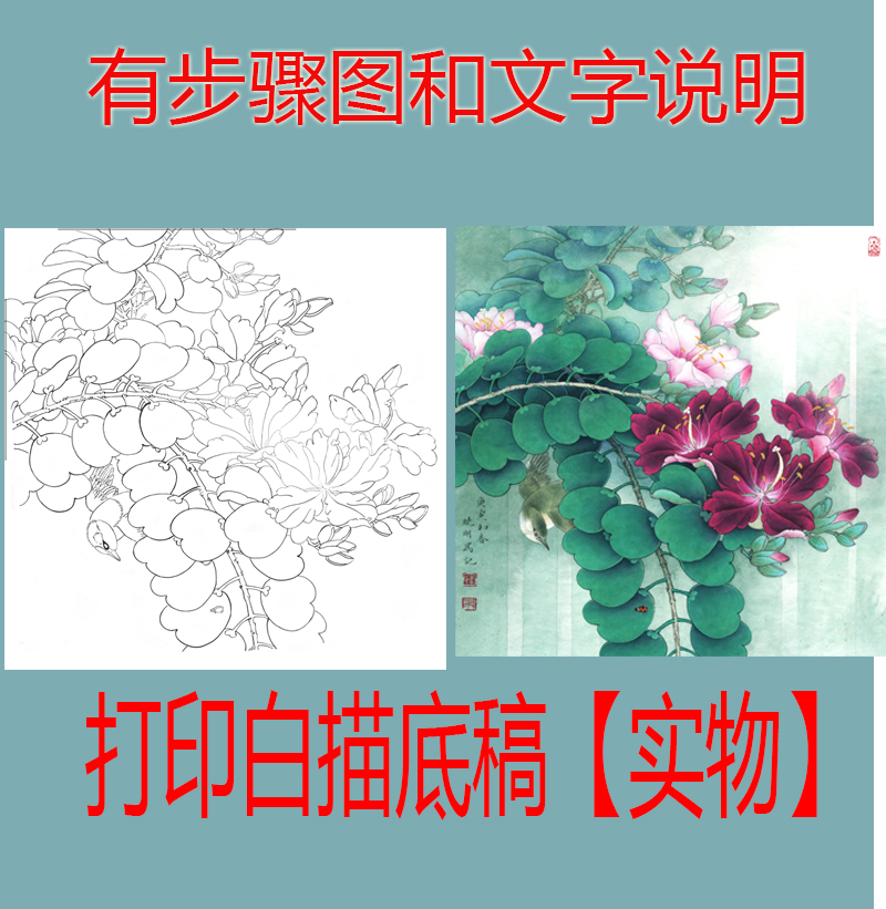 国画工笔画打印白描底稿李晓明牡丹初学者临摹透稿步骤图文字说明