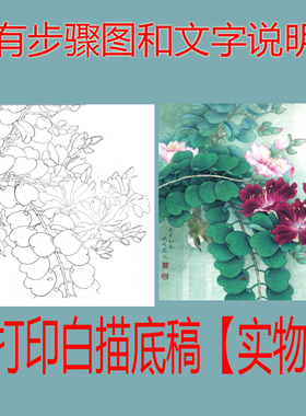 国画工笔打印白描底稿牡丹临摹