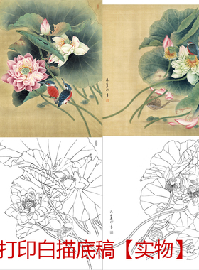 工笔画打印白描底稿郑玲玲荷花鱼