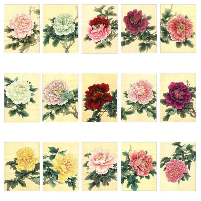 国画工笔画打印白描底稿李晓明牡丹十五品初学者勾线上色练习