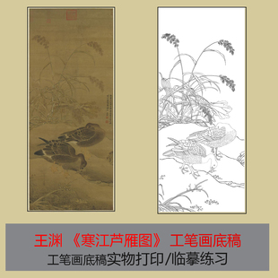 王渊《寒江芦雁图》工笔画底稿白描线稿临摹练习国画底稿实物打印