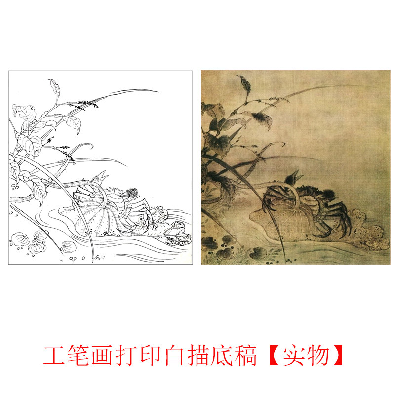 工笔画打印底稿宋画《河蟹图》临摹初学者线描宣纸过稿素材