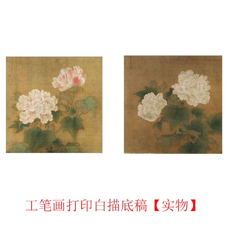 工笔画打印白描底稿宋 李迪 红 白芙蓉图临摹初学者线描过稿素材
