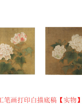 打印李迪白芙蓉初学者线描工笔画