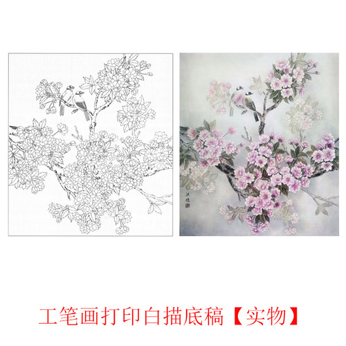国画工笔画打印白描底稿花鸟临摹