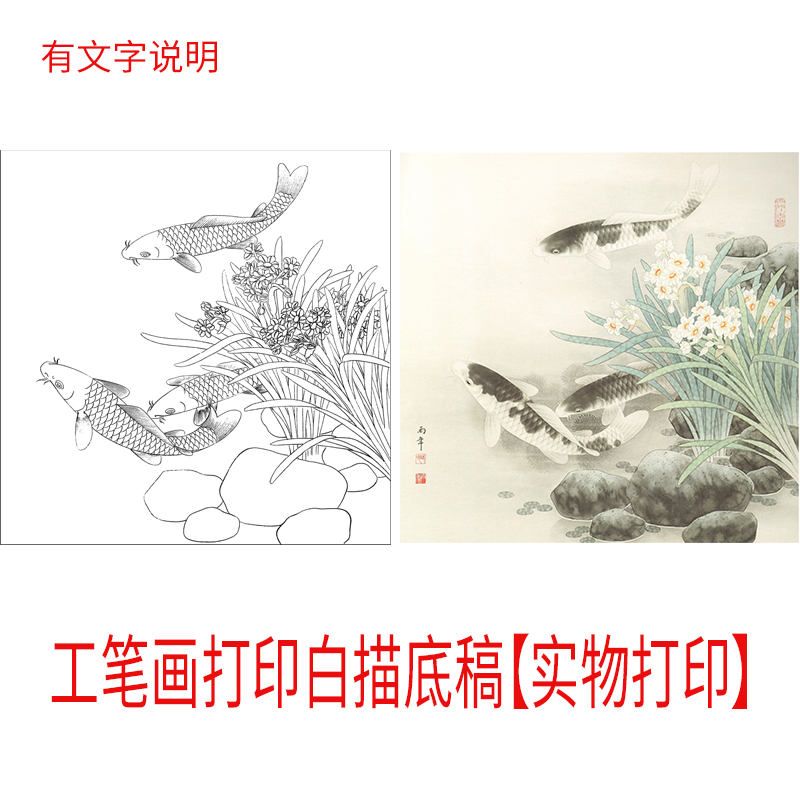 有文字说明工笔画打印白描底稿斗方水仙鱼初学者临摹过稿上色练习