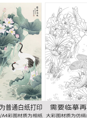 工笔画打印白描底稿竖幅荷花鹤高清线描初学者临摹过稿创作参考