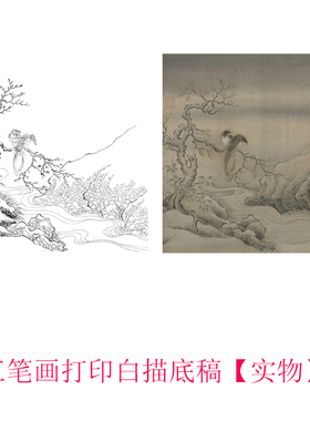 工笔画打印白描底稿宋 《乌柏文禽图》.临摹初学者线描过稿素材