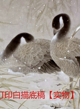 国画工笔画挂画白描底稿临摹玄关