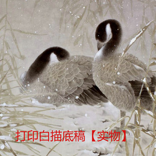 国画工笔画挂画圆形团扇白描底稿竖幅初学者临摹勾线手工DIY玄关