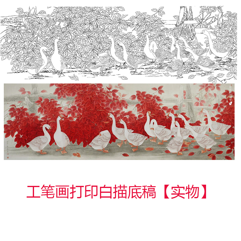 国画工笔画打印白描底稿横幅红叶白鹅初学者临摹过稿练习线描上色