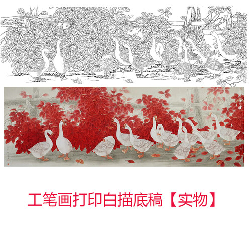 工笔画白描底稿初学者临摹