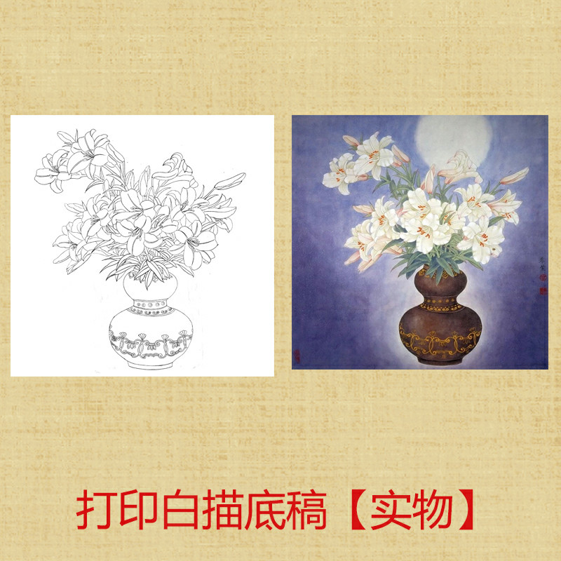 diy花瓶百合初学者临摹工笔画