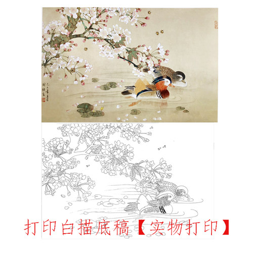 国画工笔画打印白描初学者临摹搞
