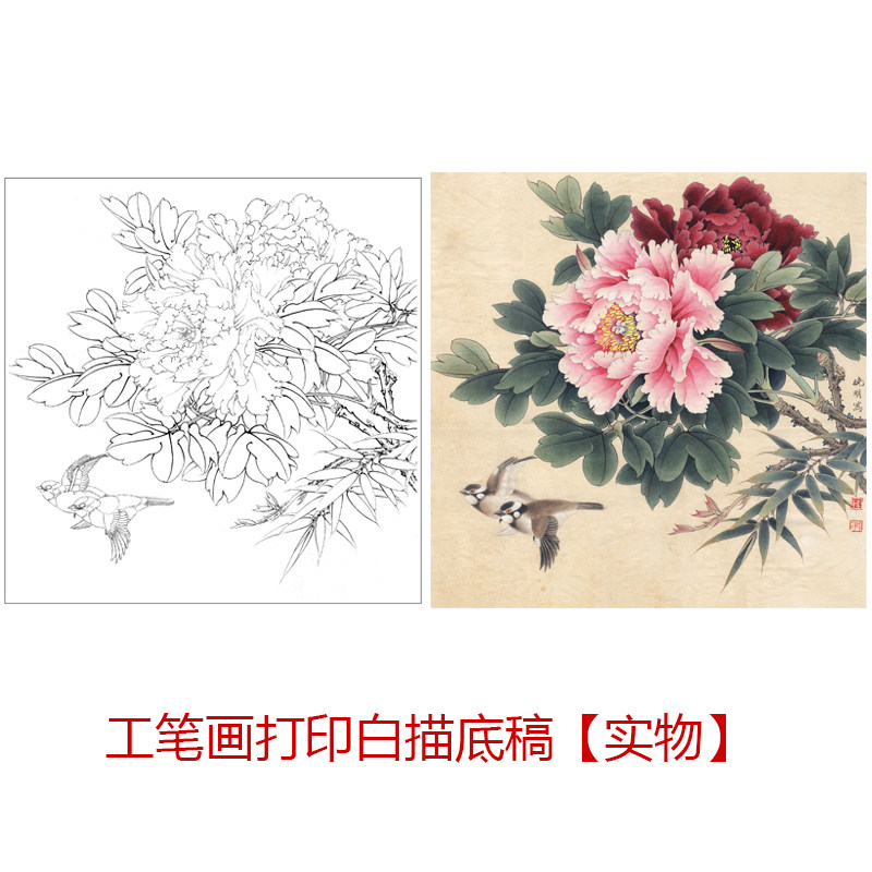 国画工笔画打印白描底稿竖幅小品牡丹初学者临摹过稿勾线上色练习