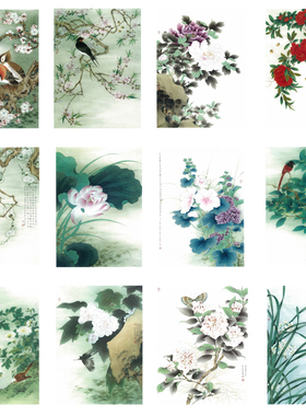 国画工笔画打印白描底稿花鸟临摹