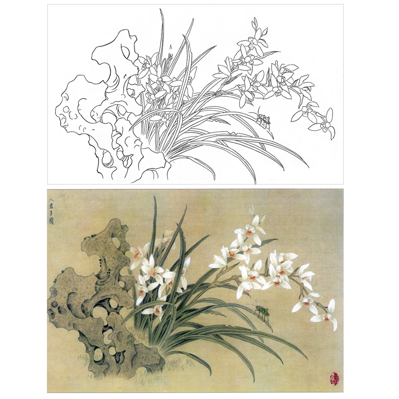 国画工笔画打印白描底稿横幅花卉初学者临摹勾线过稿上色练习