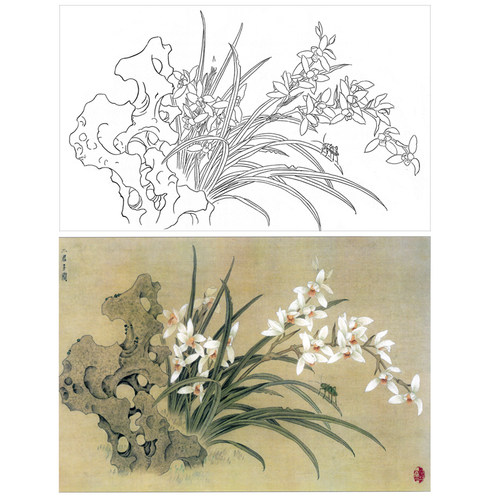 国画工笔画打印白描底稿横幅花卉初学者临摹勾线过稿上色练习