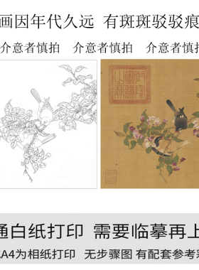 国画工笔画打印白描底稿宋画斗方花鸟高清线描初学者临摹过搞