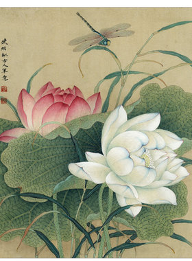 工笔画白描打印底稿临摹透稿勾线