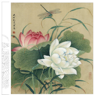 工笔画白描打印底稿竖幅小品荷花初学者临摹透稿初学者勾线练习
