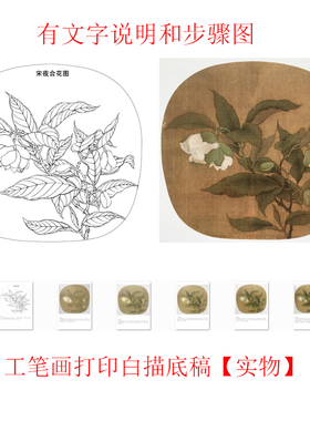 工笔画打印底稿夜合花临摹宣纸