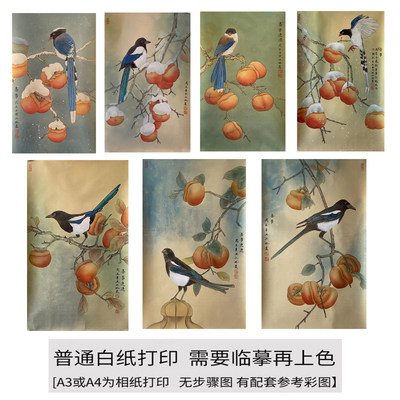 国画工笔画打印白描底稿竖幅汪林柿子小鸟初学者临摹勾线过稿上色