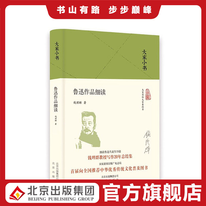 大家小书 鲁迅作品细读（精装本）钱理群著 细读鲁迅代表作33篇 钱理群写作20年总结集 中国当代随笔文学理论与批评文学