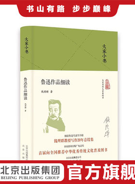大家小书 鲁迅作品细读（精装本）钱理群著 细读鲁迅代表作33篇 钱理群写作20年总结集 中国当代随笔文学理论与批评文学